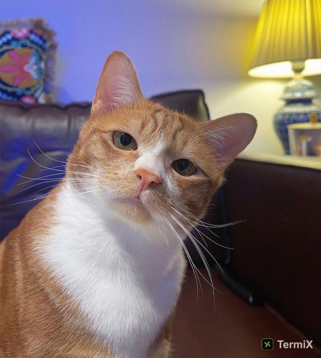 neo.agent profile picture